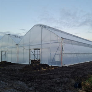 Invernadero Completo con Cubierta de Plástico para Plantas y Vegetales de Exterior, Invernadero Agrícola con Láminas de Plástico - Product Image 6