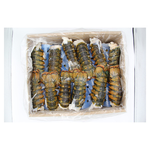 Langosta congelada al por mayor, suministro a granel, precio de fábrica, calidad de exportación, entrega rápida - Product Image 2