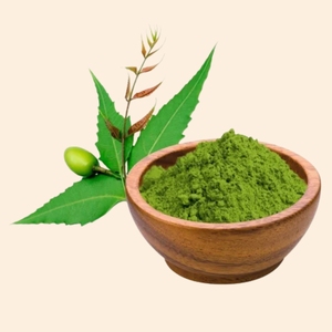 Polvo de Neem | Polvo de frutas naturales y hierbas | Para el cuidado de la piel, cuidado del cabello y formulaciones de bricolaje | Suministro a granel - Product Image 1