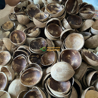 Vente en gros de petites coquilles de noix de coco pour desserts glacés, biodégradables, pour la maison, le camping, écologiques, bols jetables, design de dessin animé