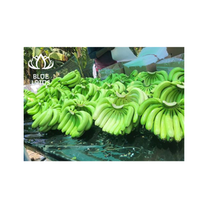 ขนมกล้วยผลไม้สดราคาถูกในเดือนนี้กล้วยสดจากเวียดนามกล้วยสมูทตี้กล้วยเขียว - Product Image 1