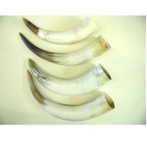 Cuerno de vaca natural Cuerno vikingo para beber Estilo animal pulido con revestimiento seguro para alimentos y diseño elegante para fines decorativos - Product Image 4