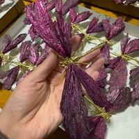 Libellule en cristal naturel de haute qualité, faite à la main, en cyanite noire, aura d'ange, Feng Shui, sculptée, décoration d'intérieur, cadeaux spirituels de guérison