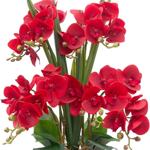 THAOF-061 ก้านกล้วยไม้ประดิษฐ์ดอกไม้สัมผัสจริง Latex Faux Phalaenopsis สาขา 9 ดอกไม้ขนาดใหญ่ 38 นิ้ว - Product Image 1