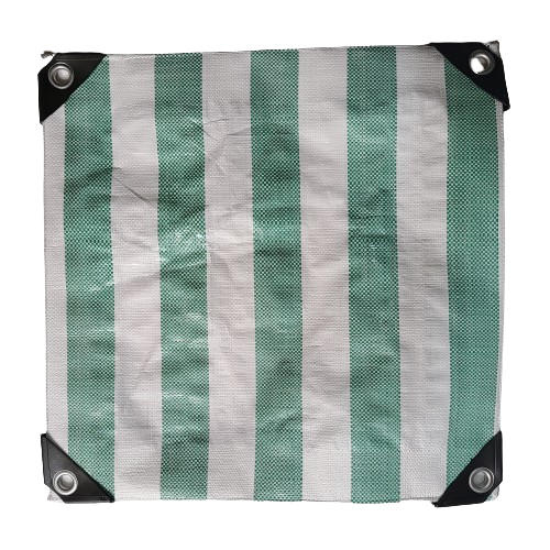 สีเขียว