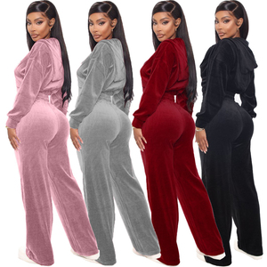 Automne hiver femmes velours 2 pièces Jogging pantalon ensemble Designer Logo haut court sweats à capuche survêtement décontracté velours survêtements 2025 - Product Image 2