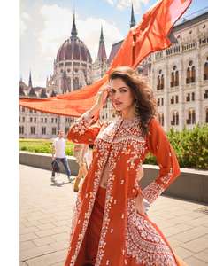 Diseñador de seda de primera calidad con bordado Traje Mujer Moda Fabricante y proveedor de la India a precio mayorista - Product Image 2