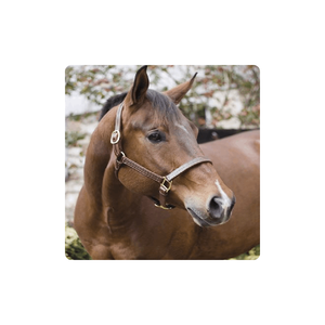 Équitation nouvelle mode confortable réglable cheval spectacle professionnel licou en cuir occidental licou cheval licou - Product Image 1