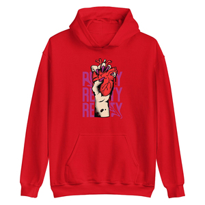 Sweats à capuche 100% coton personnalisés du fabricant professionnel Design décent multicolore pour la saison d'automne - Product Image 1