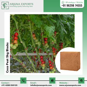 Bloc de tourbe ou de moelle de coco de qualité supérieure pour les producteurs de serre en culture hydroponique - Product Image 6