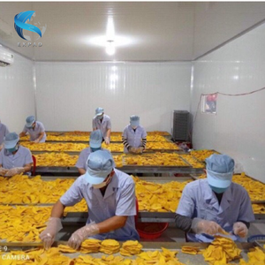 Meilleure vente de mangue séchée douce au goût sucré Mangue du Vietnam de haute qualité 100% - Product Image 6