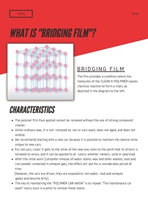 Royal BC-Polymer 03 Polymère anti-rayures hydrofuge pour surfaces peintes - Product Image 5