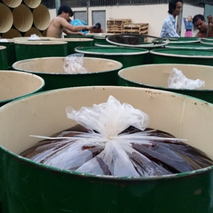 Melaza de Extracto de Caña de Azúcar de Vietnam para la Mejora de la Alimentación del Ganado y Diversas Operaciones de Procesamiento de Alimentos - Product Image 5