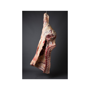 Cuarto trasero de res a precio de descuento, preparado para venta al por mayor con suministro constante - Product Image 6