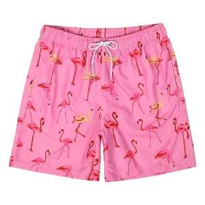 2025 été plage sport décontracté plage pantalon Shorts de bain maillot de bain poches hommes Boardshorts pour gros Shorts pour hommes - Product Image 4