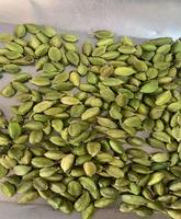 Graines de cardamome biologiques de haute qualité en provenance du Brésil, prix préférentiel pour les produits agricoles verts du Guatemala