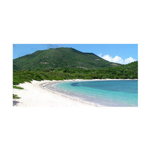 Compra Beech Long para proyectos de mejora del hogar disponibles en grandes cantidades a excelentes precios Beech Long es ideal para crear - Product Image 2