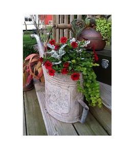 Arrosoir en fer de taille standard avec finition naturelle, parfait pour l'entretien des plantes de balcon à domicile et la décoration élégante du jardin - Product Image 6