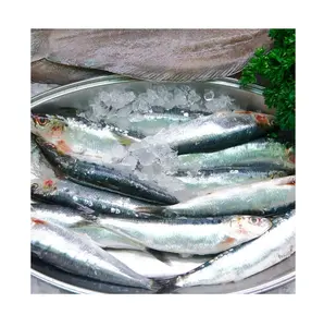 Giá thấp nhất iqf đóng gói đông lạnh SARDiNE cá cao cấp chất lượng số lượng lớn số lượng cho xuất khẩu từ Châu Âu