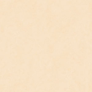 Faible absorption d'eau meilleure vente de carreaux de sol émaillés en porcelaine fabrication en Inde pour urinoir wc. - Product Image 2