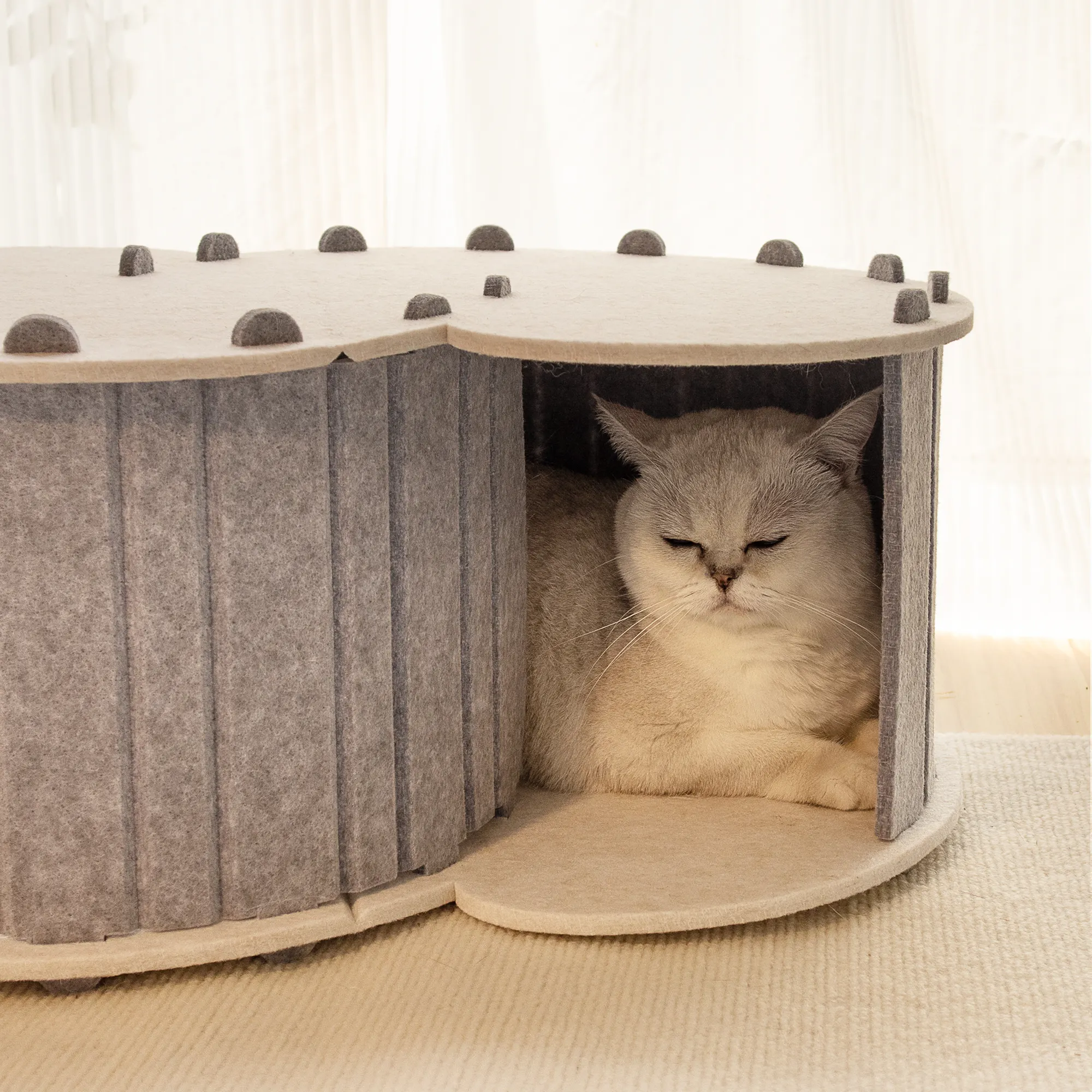 Camas de fieltro de moda para mascotas con nido de casa para rascar gato lindo verde gris para gatos almacenados