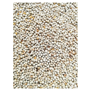 กานพลูแห้งทั้งหมดเมล็ดงาสีม่วงสำหรับพืชวัตถุดิบสมุนไพรธรรมชาติเกรดอาหาร - Product Image 5