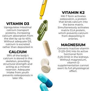 Complément Alimentaire OEM Marque Privée Osteo D3 60 Capsules 800mg pour la Santé Osseuse & Vitamine D3 Fabriqué en Italie RedMoringa - Product Image 3