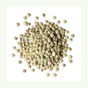 Lentilles rouges cassées entières séchées en vrac et lentilles vertes de haute qualité légumineuses polyvalentes et nutritives - Product Image 2