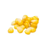Highest Selling Price Top Quality Super Freshness and High Sweetness Organics Sweet Corn Supply in Bulks Malaysia Manufacturing