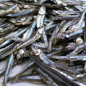 도매 공장 말린 헤드리스 멸치 물고기-베트남에서 고품질