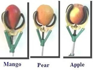 Phổ biến 177 đến 300 cm Kính thiên văn dài đạt trái cây picker - Product Image 2