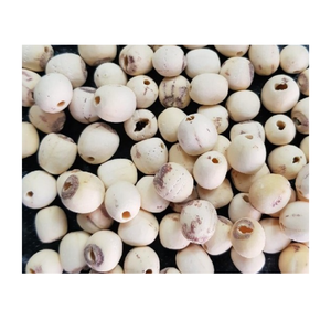 Vente en gros de graines de lotus premium Vietnam, coeurs de lotus séchés naturels parfaits pour la nourriture, le thé de sommeil et l'exportation dans le monde entier - Product Image 1