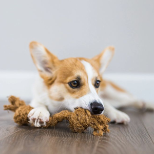 เชือกสำหรับสัตว์เลี้ยงที่ได้รับการจัดอันดับสูงสุดเส้นใยมะพร้าวปลอดภัยทนทานและเป็นมิตรต่อสิ่งแวดล้อม // ms.jessi - Product Image 4