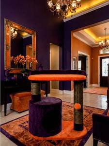 Griffoir pour chats Amistar Moon Marmalade de haute qualité, toutes tailles - Product Image 5