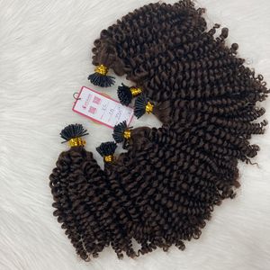 Hot Sale No Tangle Hair Extensions Vietnamese Cuticle Aligned Raw Human Hair Dark Brown Kinky Curly Natural Wave I Tip Vendors - Product Image 2