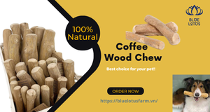 โลตัสสีฟ้าฟาร์มกาแฟเคี้ยวไม้พรมและเชือกของเล่นสําหรับสัตว์เลี้ยงทนทานและสัตว์เลี้ยงเคี้ยวของเล่นกอริลลาข้อศอกกระดูก 2024 - Product Image 6