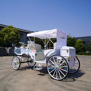 Carruaje <span class=keywords><strong>de</strong></span> <span class=keywords><strong>Caballos</strong></span> Eléctrico Blanco para Turismo, Carruaje <span class=keywords><strong>de</strong></span> <span class=keywords><strong>Caballos</strong></span> para Bodas Reales en Venta, Nuevo Tipo <span class=keywords><strong>de</strong></span> Carruaje <span class=keywords><strong>de</strong></span> Princesa - Product Image 2