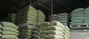 베트남산 고품질 입상 석회석, 동물 사료 또는 산업용, 최적가 - Product Image 5