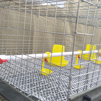 Cages à poulets automatiques galvanisées de type H de haute qualité pour l'élevage de poussins ou à usage domestique