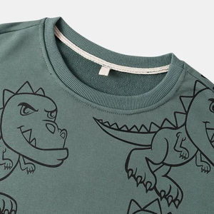 Diseñe su propio logotipo personalizado Hombres Sudaderas Venta al por mayor Multi colores Otoño Desgaste O Cuello Impreso Adultos Transpirable - Product Image 3