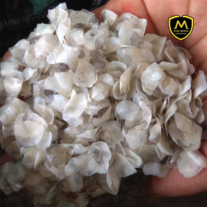 ESCALAS DE PESCADO DE VIETNAM para extracción de colágeno y gelatina | Tamaño grande (1cm más) - Product Image 3