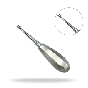Elevador Dental Quirúrgico Pequeño de 6.4mm con Punta de Ala, Mango 503, para Extracción de Dientes y Elevación de Raíces - Product Image 1