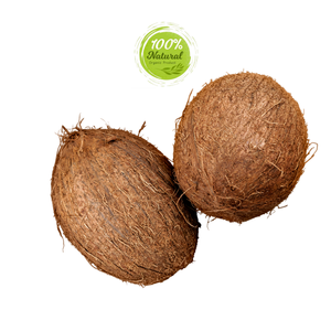 Ingrédient de base de truffes artisanales de qualité supérieure noix de coco séchée-un produit agricole exquis - Product Image 6