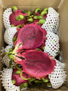 Dragon Fruit à chair blanche fraîche du Vietnam, peau verte, goût sucré, haute qualité, emballé pour l'exportation, vente en gros et sur le marché. - Product Image 1
