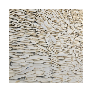 Os à mâcher d'oiseau Os de seiche séché Sous-produits de fruits de mer naturels animaux du Vietnam Bloc de soins du bec de perroquet pour animaux de compagnie Exportation en vrac - Product Image 6