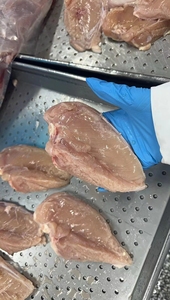 Pechuga de Pollo Halal Congelada, Sin Piel ni Hueso, Procesamiento IQF, Carne de Primera Calidad - Product Image 5