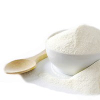 Poudre de lait entier écrémé / Poudre de lait premium Crème non laitière en paquet de 25 kg / LAIT EN POUDRE ENTIER