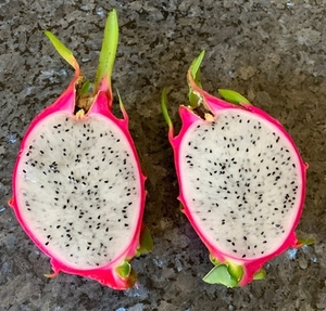 Proceso congelado IQF de fruta de dragón liofilizada de alta calidad listo para enviar en embalaje a granel directo del proveedor - Product Image 6