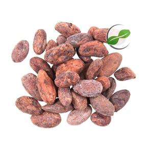 Fèves de cacao non fermentées de qualité supérieure d'Indonésie, meilleur prix, approvisionnement en vrac pour l'exportation depuis l'île de Bali - Product Image 4