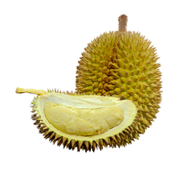 Vers D111 Durian Vers Fruit Bij Voorkeur Voor Veel Durian-Liefhebbers En Kinderen Uit Vietnam Groothandel Premium Hoogwaardig Heerlijk